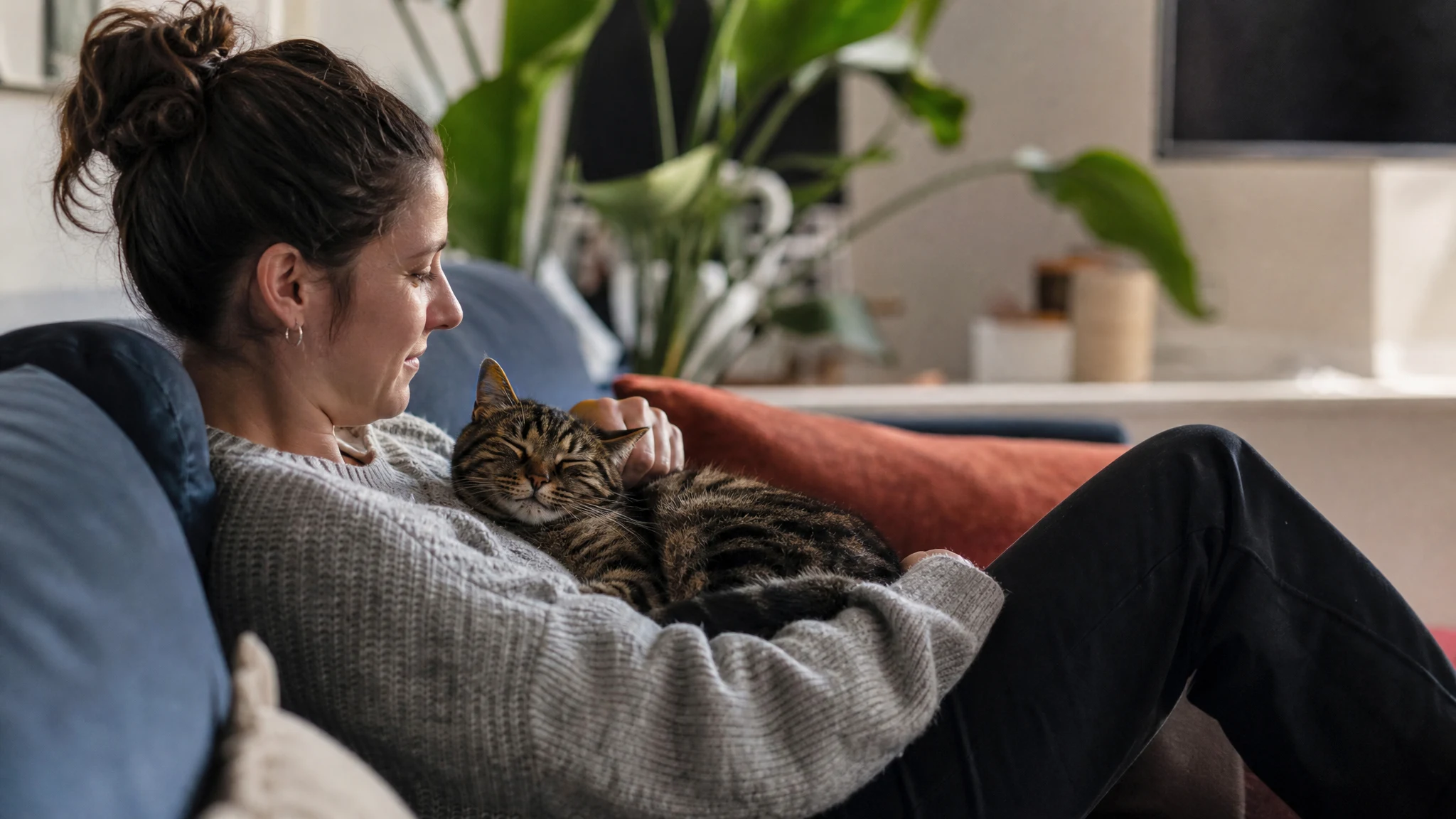 emotional support cat guides: types of emotional support animals in __st__
